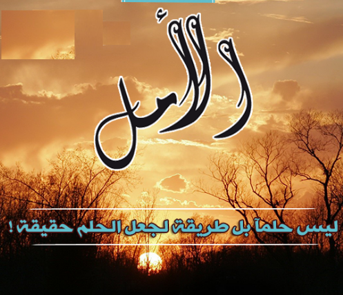اجمل حكم للنشر في صفحات الفيس بوك