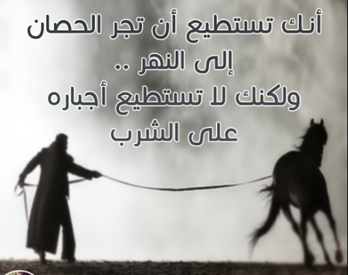 حكمة اليوم 2018