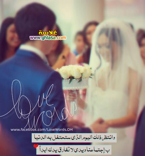 صور love
