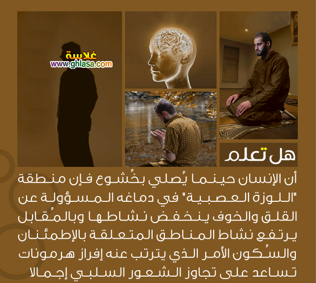 معلومات عامة معلومات ثقافية مفيدة 2018