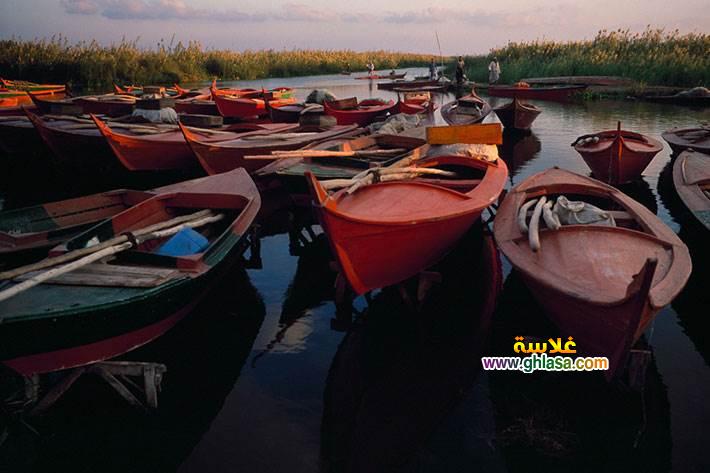 معلومات-عن-بحيرة-ادكو