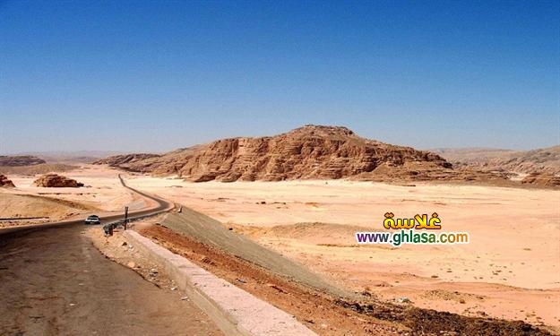 جهود-الدولة-فى-تعمير-صحراء-سيناء