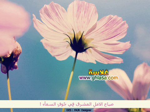 صور-و-رسائل-صباح-الخير-مسجات-الصباح-2018