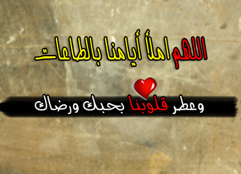 احكام فى الحياة