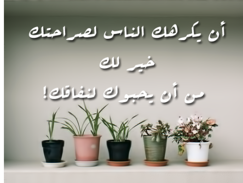 صور حكم عامة