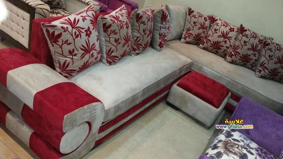 احدث الركن المصرية