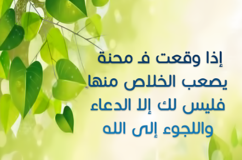 صور حكمة على صورة