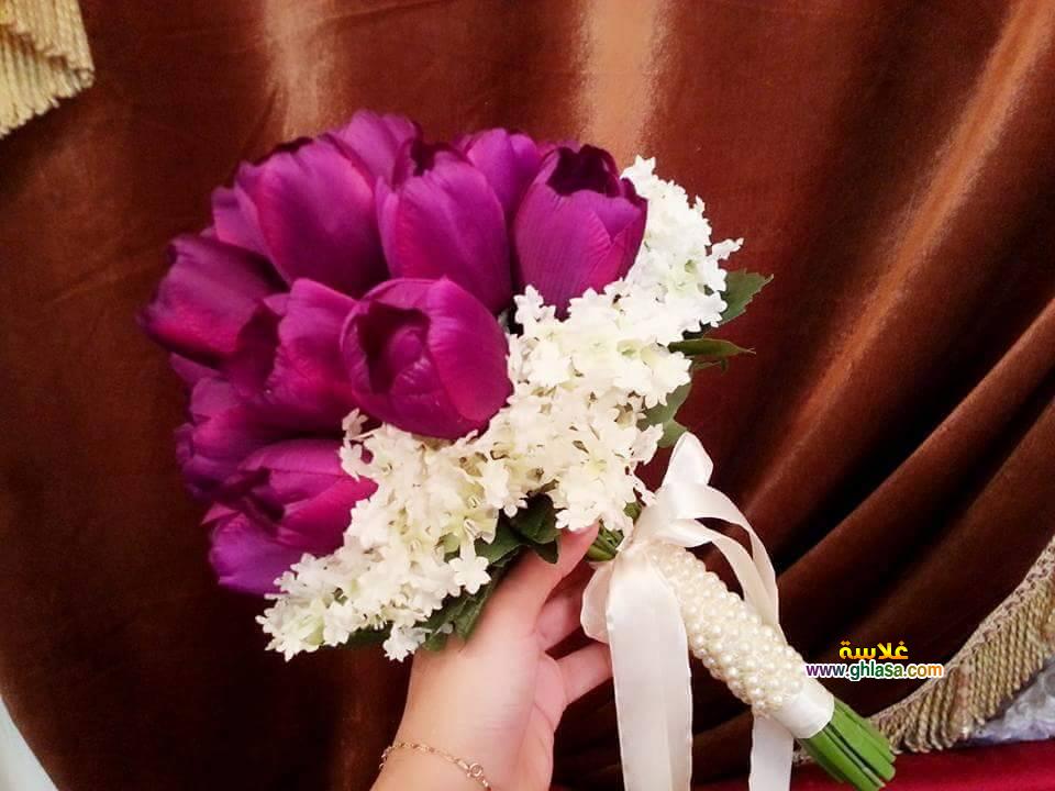 ورد الحب