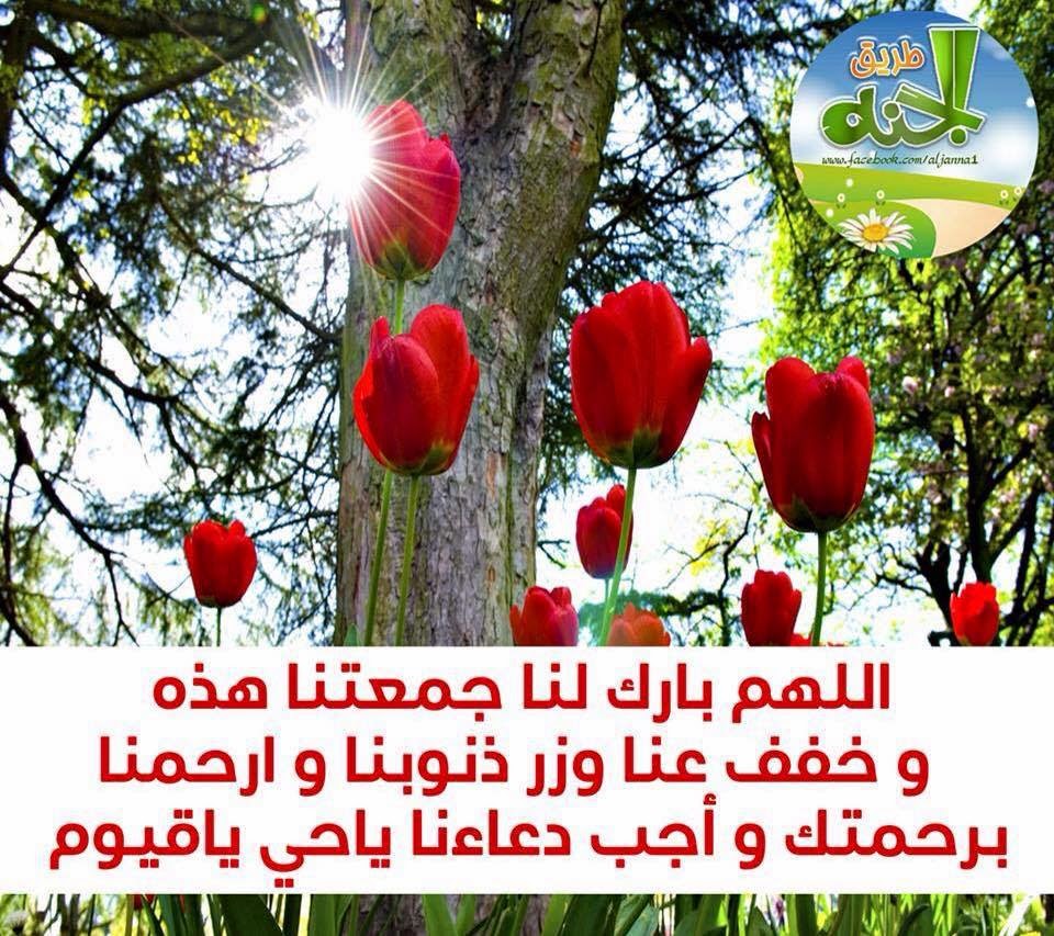 اللهم بارك لنا جمعتنا هذة وخفف عنا وزر ذنوبنا وارحمنا