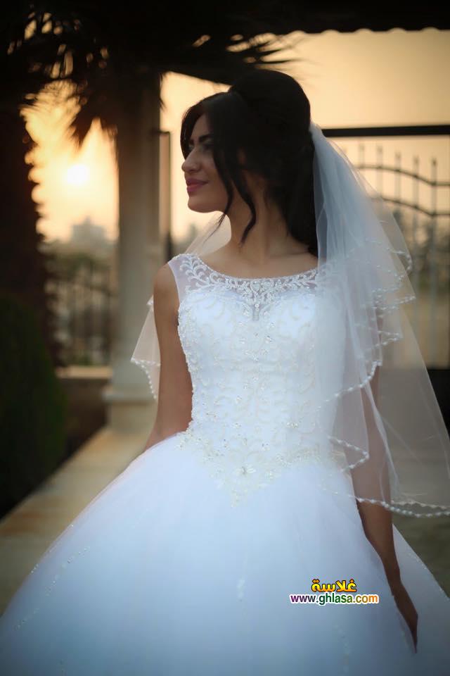صور فستان الفرح