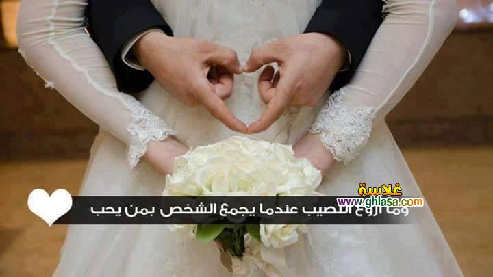 فساتين زفاف جميلة 2019