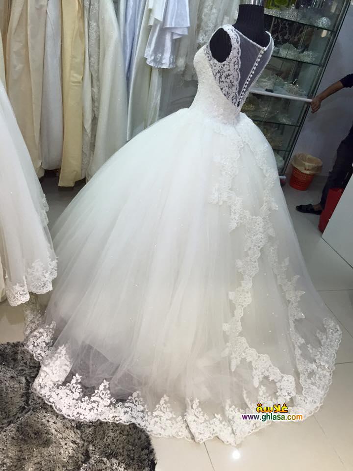 احلى صور فستان زفاف