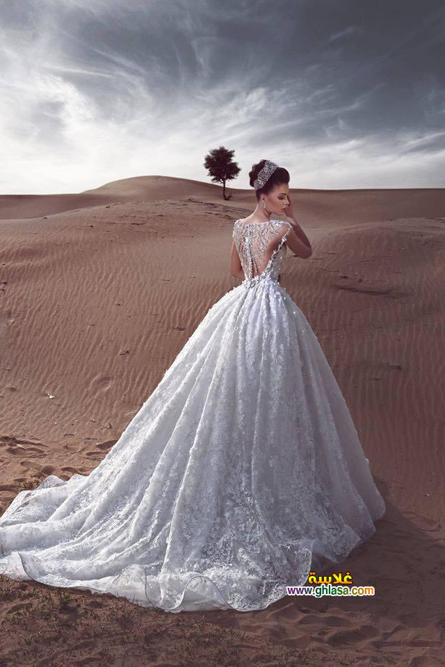 صور فستان فرح روعة