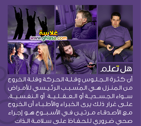 معلومات ثقافية