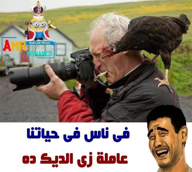 نكت مصرية جديدة مضحكة صور نكت 2018