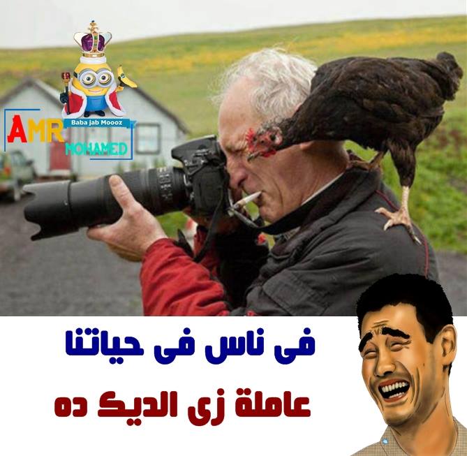 نكت جديدة 2018