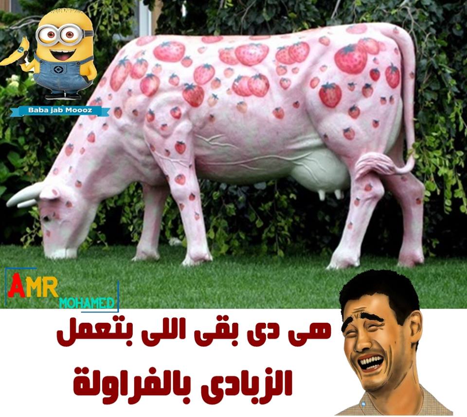 نكت-جديدة