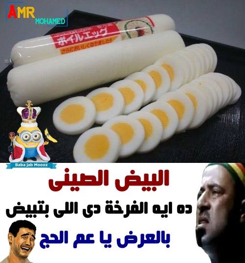 نكت مصرية جديدة مضحكة 