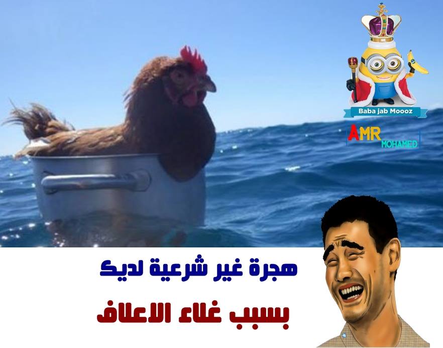 نكت جديدة 2019