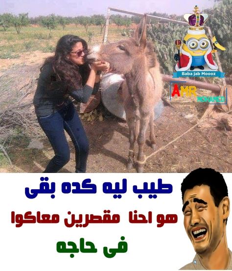 صور نكت فيس بوك 2019