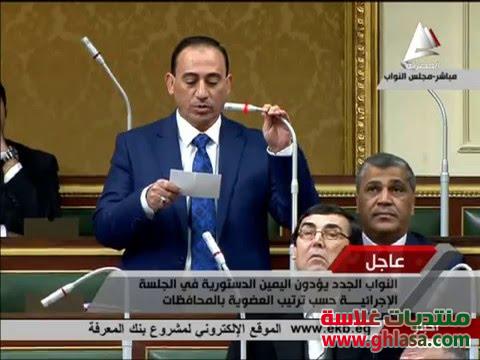 النائب محمد عبدالله زين الدين يتقدم بطلب إحاطة بسبب تلوث مياة النيل