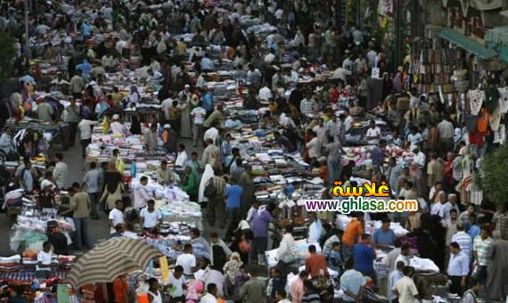 بحث عن المشكلة السكانية واسبابها وطرق العلاج بحث علمي