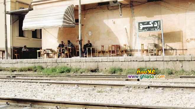 حالة غضب فى مدينة ادكو بسبب انقطاع المياة أسبوعآ كآملآ