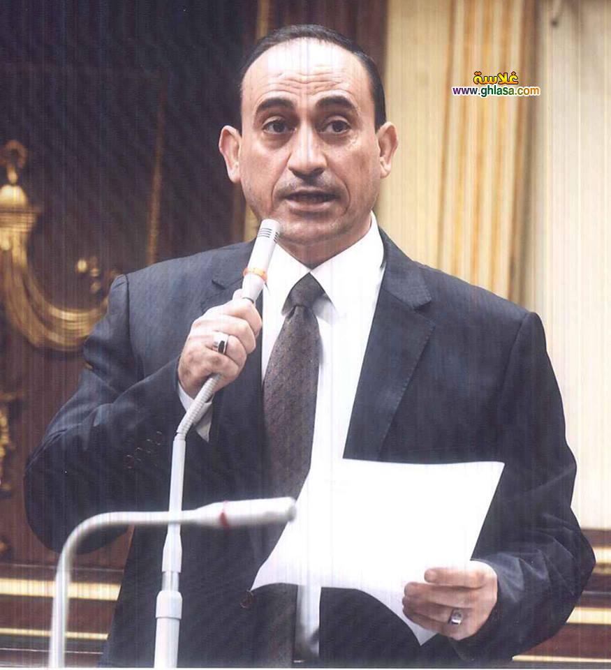 نائب مدينة ادكو محمد عبدالله زين الدين ينظم  مؤتمر حاشد لدعم السيسي